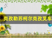 克孜勒苏柯尔克孜叉车证复审(青海叉车证查询)