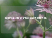 桐城叉车证复审(叉车证复审去哪里办理)