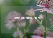 起重机复审如何网上报名