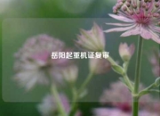 岳阳起重机证复审