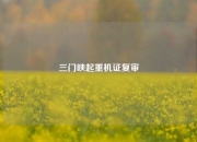 三门峡起重机证复审