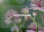 石家庄起重机证复审