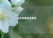 萍乡起重机证复审