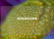 迪庆起重机证复审