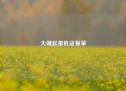 大理起重机证复审