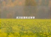 武汉起重机证复审