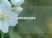 襄樊起重机证复审