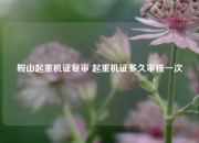 鞍山起重机证复审 起重机证多久审核一次