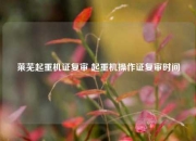 莱芜起重机证复审 起重机操作证复审时间