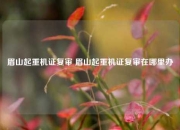 眉山起重机证复审 眉山起重机证复审在哪里办