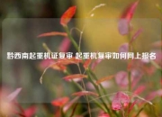 黔西南起重机证复审 起重机复审如何网上报名