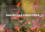 那曲起重机证复审 起重机证几年复审
