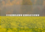 大丰起重机证复审 起重机证几年复审