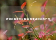 武夷山起重机证复审 起重证复审怎么办