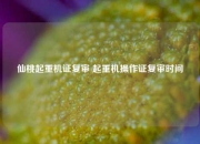 仙桃起重机证复审 起重机操作证复审时间