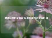 潜江起重机证复审 起重机操作证复审时间