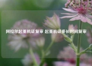 阿拉尔起重机证复审 起重机证多长时间复审