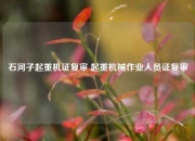 石河子起重机证复审 起重机械作业人员证复审