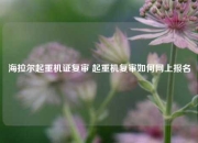 海拉尔起重机证复审 起重机复审如何网上报名
