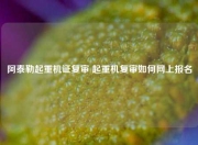 阿泰勒起重机证复审 起重机复审如何网上报名