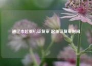 通辽市起重机证复审 起重证复审时间