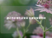 通辽市起重机证复审 起重证复审时间