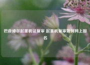 巴彦倬尔起重机证复审 起重机复审如何网上报名