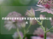 巴彦倬尔起重机证复审 起重机复审如何网上报名