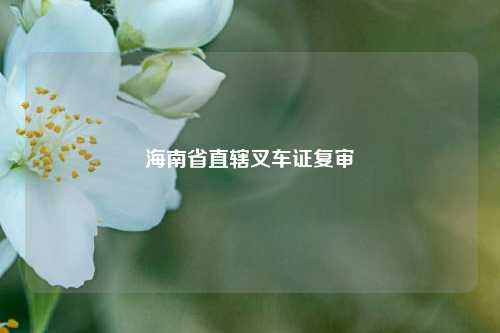 海南省直辖叉车证复审