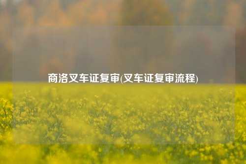 商洛叉车证复审(叉车证复审流程)