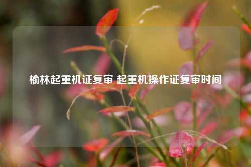 榆林起重机证复审 起重机操作证复审时间