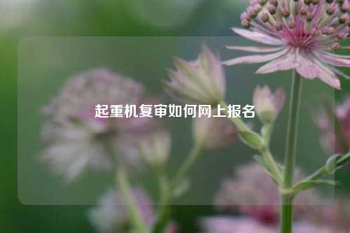 起重机复审如何网上报名