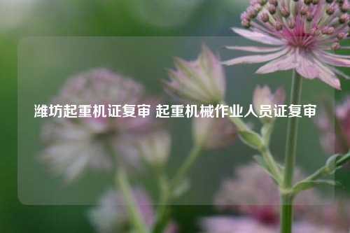 潍坊起重机证复审 起重机械作业人员证复审