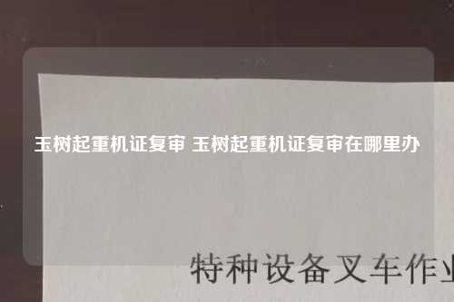 玉树起重机证复审 玉树起重机证复审在哪里办