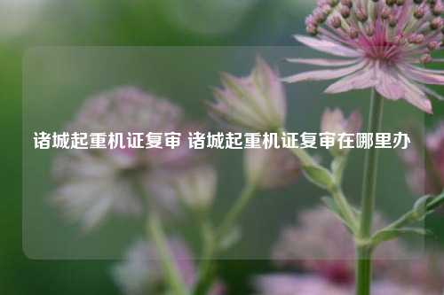 诸城起重机证复审 诸城起重机证复审在哪里办