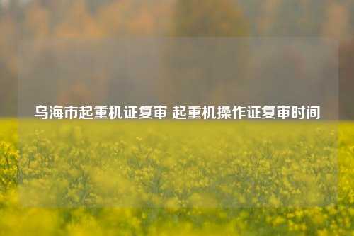 乌海市起重机证复审 起重机操作证复审时间