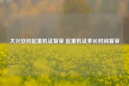 大兴安岭起重机证复审 起重机证多长时间复审