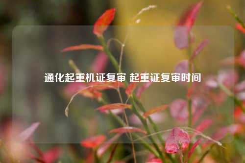 通化起重机证复审 起重证复审时间