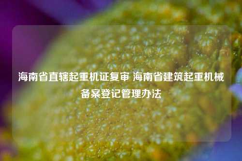 海南省直辖起重机证复审 海南省建筑起重机械备案登记管理办法