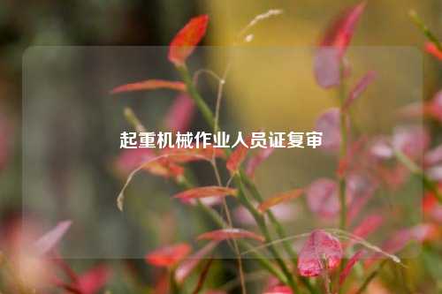 起重机械作业人员证复审