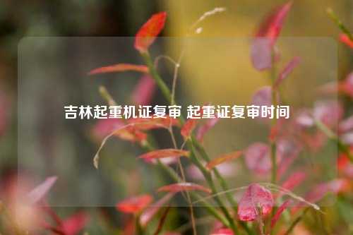 吉林起重机证复审 起重证复审时间