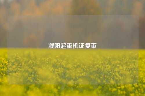 濮阳起重机证复审