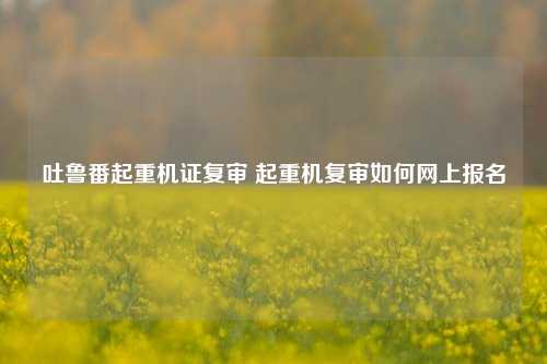 吐鲁番起重机证复审 起重机复审如何网上报名