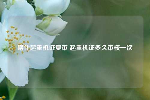 喀什起重机证复审 起重机证多久审核一次