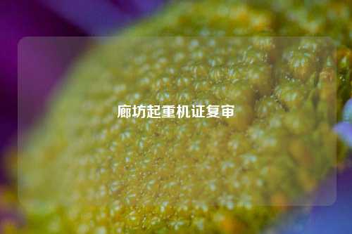 廊坊起重机证复审