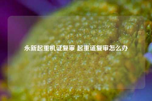 永新起重机证复审 起重证复审怎么办