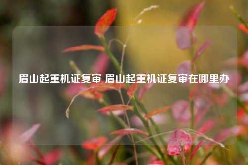 眉山起重机证复审 眉山起重机证复审在哪里办