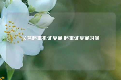 长葛起重机证复审 起重证复审时间