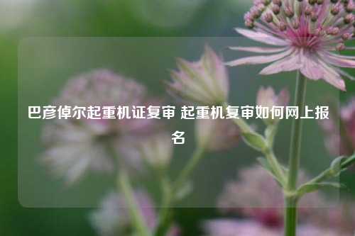 巴彦倬尔起重机证复审 起重机复审如何网上报名