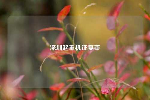 深圳起重机证复审